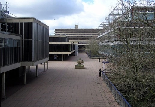 巴斯大学