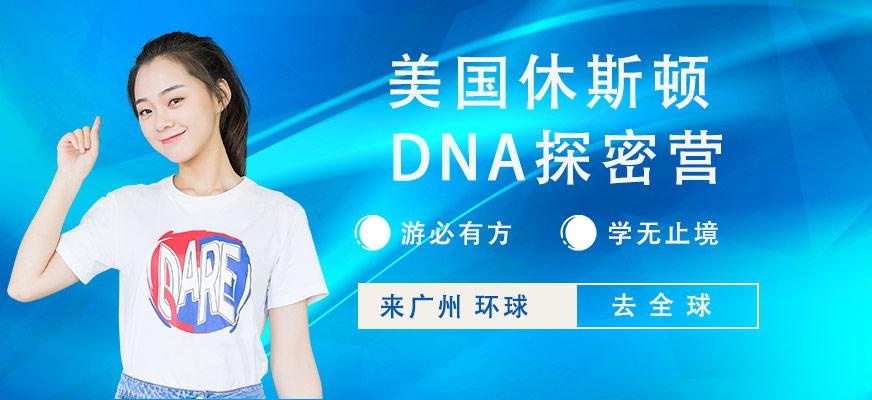 美国休斯顿夏令营