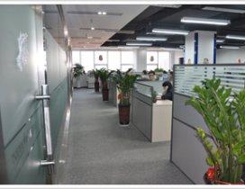 山东新启点留学 