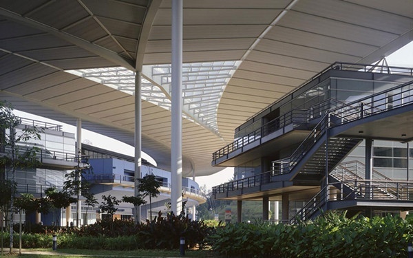 国油大学
