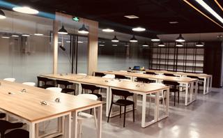 斯芬克艺术教育