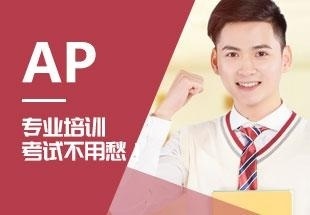 国际课程学习课程