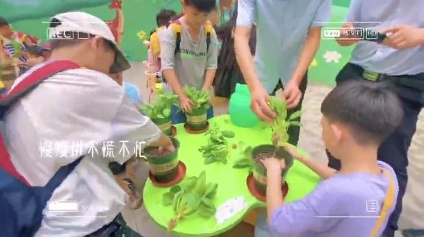 盛华碧桂园