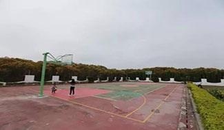 被菜地包围的操场