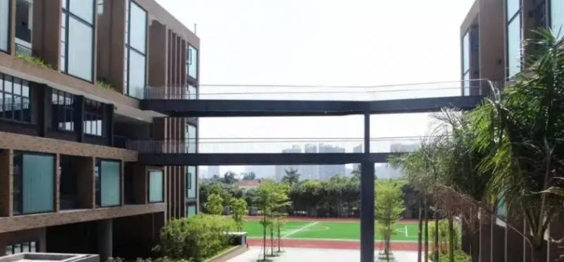 深圳蛇口国际学校小学部怎么样2