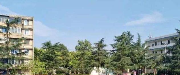 成都第四十六中民族高级中学2021年排名