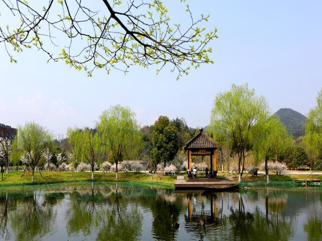 校园风景（四）