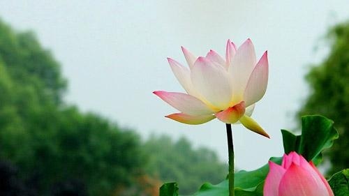 高中座右铭课前演讲稿