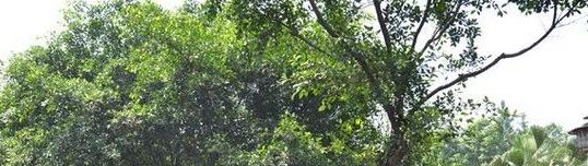 孝感市职业中等专业学校