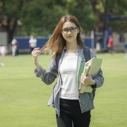 工作组织