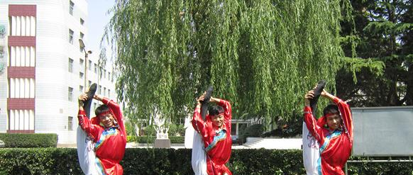 河北安国中学2021年招生计划