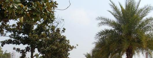 南昌二中中加国际高中2020年学费、收费多少