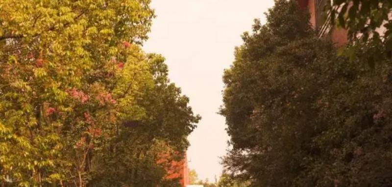 江苏省梁丰高级中学怎么样、好不好(2023参考)