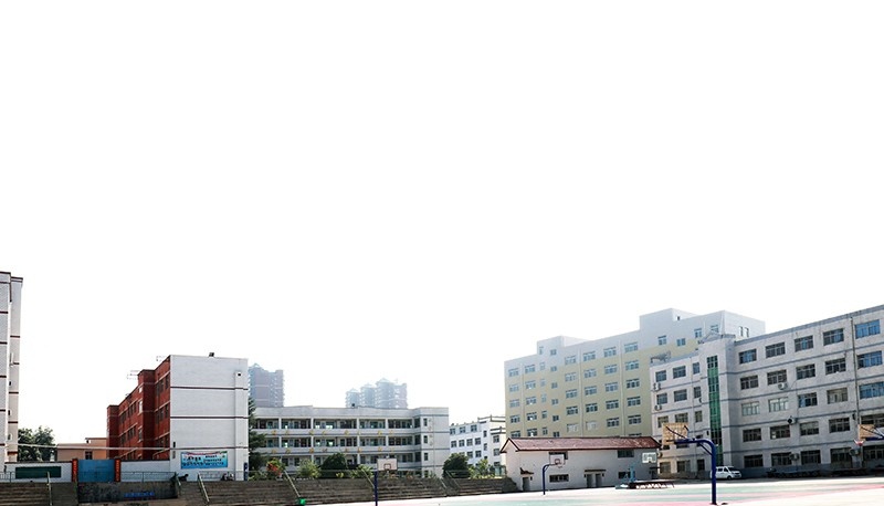 卢氏县中等专业学校