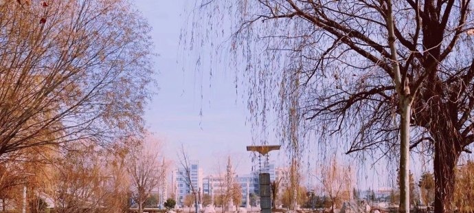 宿迁泽达职业技术学院怎么样、好不好