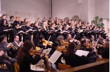 卡尔斯鲁厄国立造型艺术学院