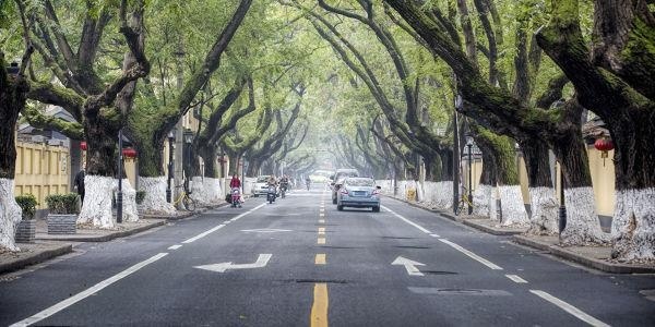武汉青鸟国际CG教育校区地址