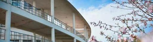 安徽现代信息工程职业学院2020年有哪些专业