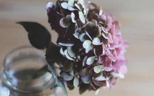 想考研英语很差怎么补