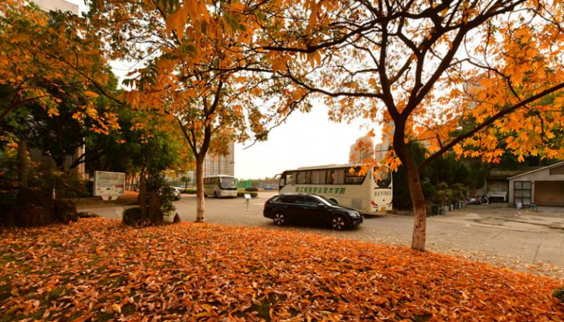 浙江育英职业技术学院网站