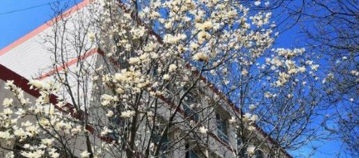 河南平顶山外国语学校