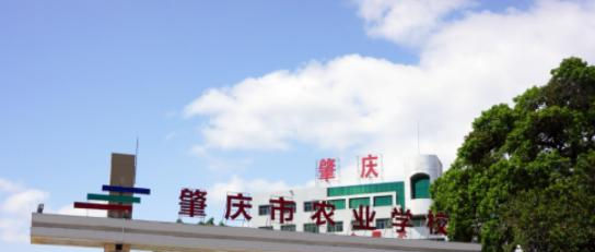 肇庆工程技术学校