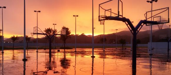 广东碧桂园职业学院是几专