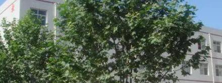 2023石家庄科达中等专业学校多少钱 石家庄科达中等专业学校各专业学费收费标准