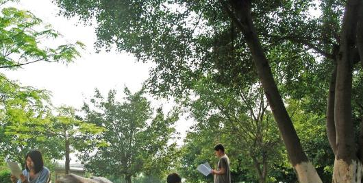 河源职业技术学院2020年有哪些专业