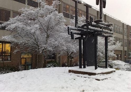 拉夫堡大学