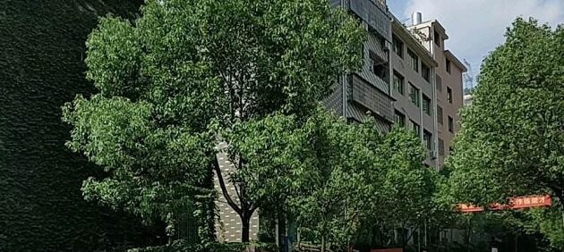 青田职业技术学校网站