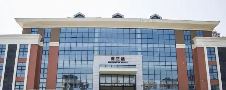 佛山协同国际学校靠谱吗2