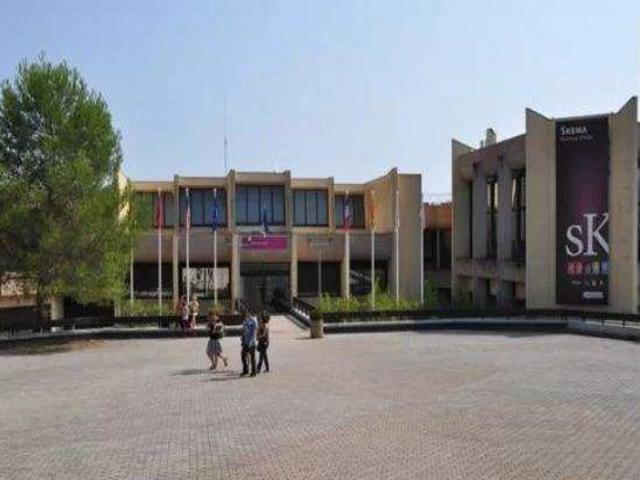 校园风采（二）