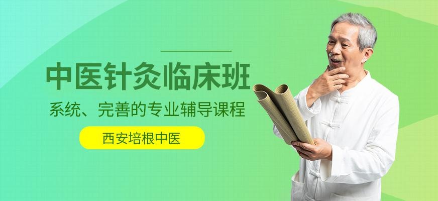 西安针灸培训