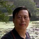 汤金波