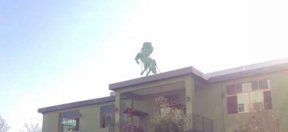 宜黄职业教育中心网站