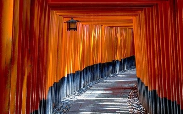 标准日本语初级自学方法