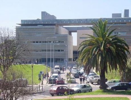 新里斯本大学