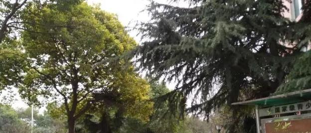 武汉体育舞蹈艺术学校