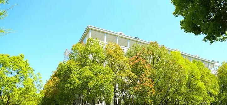 安吉上墅私立高级中学2022年课程体系