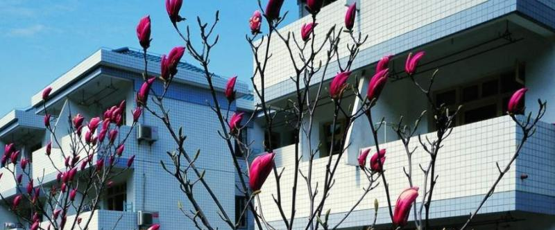 杭州民办东方中学国际部地址在哪里