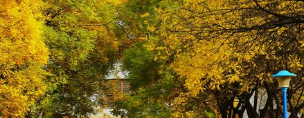 甘肃能源化工职业学院五年制大专2020年学费、收费多少