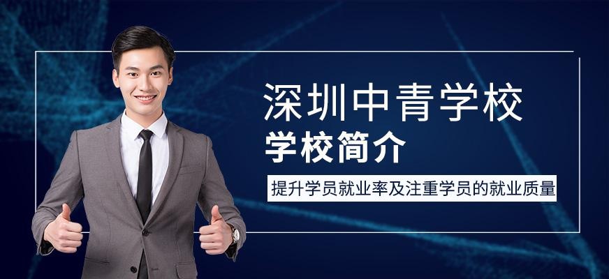 深圳中青教育学校简介