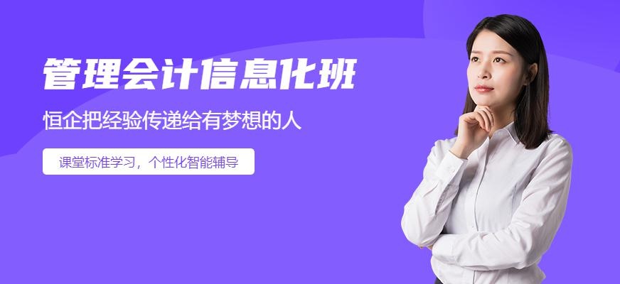 管理会计信息化培训大图