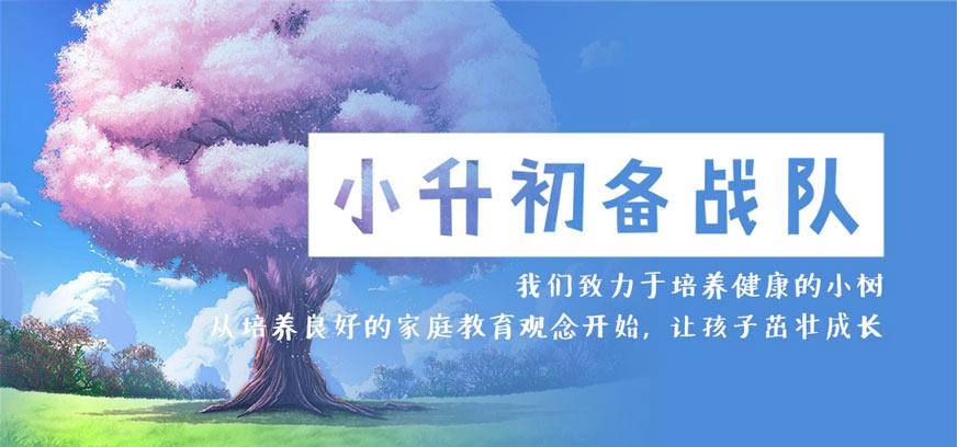 小升初补习班