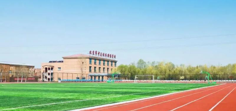 北京中关村外国语学校国际部2023年录取分数线