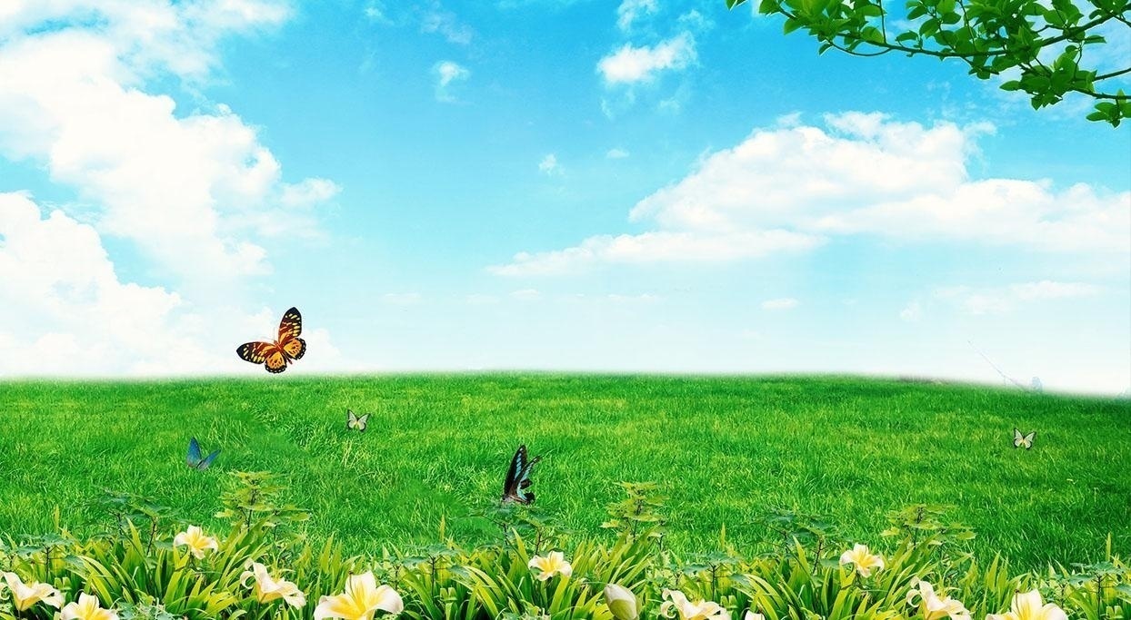 大连生命的绽放培训