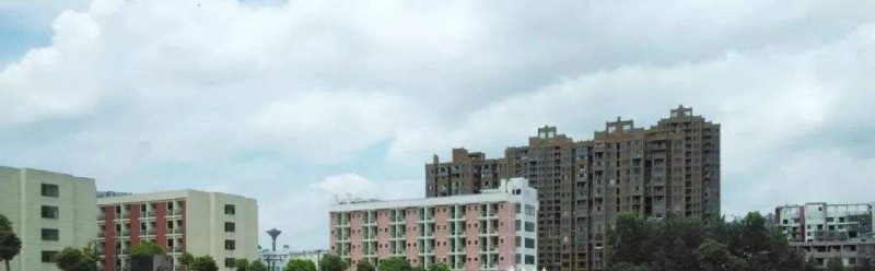 虞城中等专业学校2021年招生录取分数线