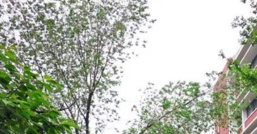 大连医科大学附属卫生学校