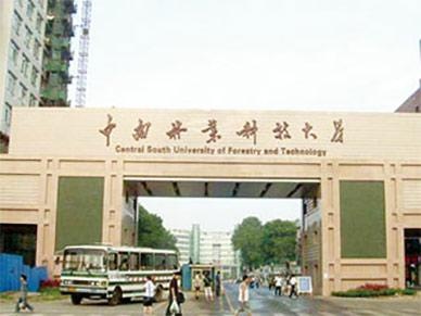 分校大门